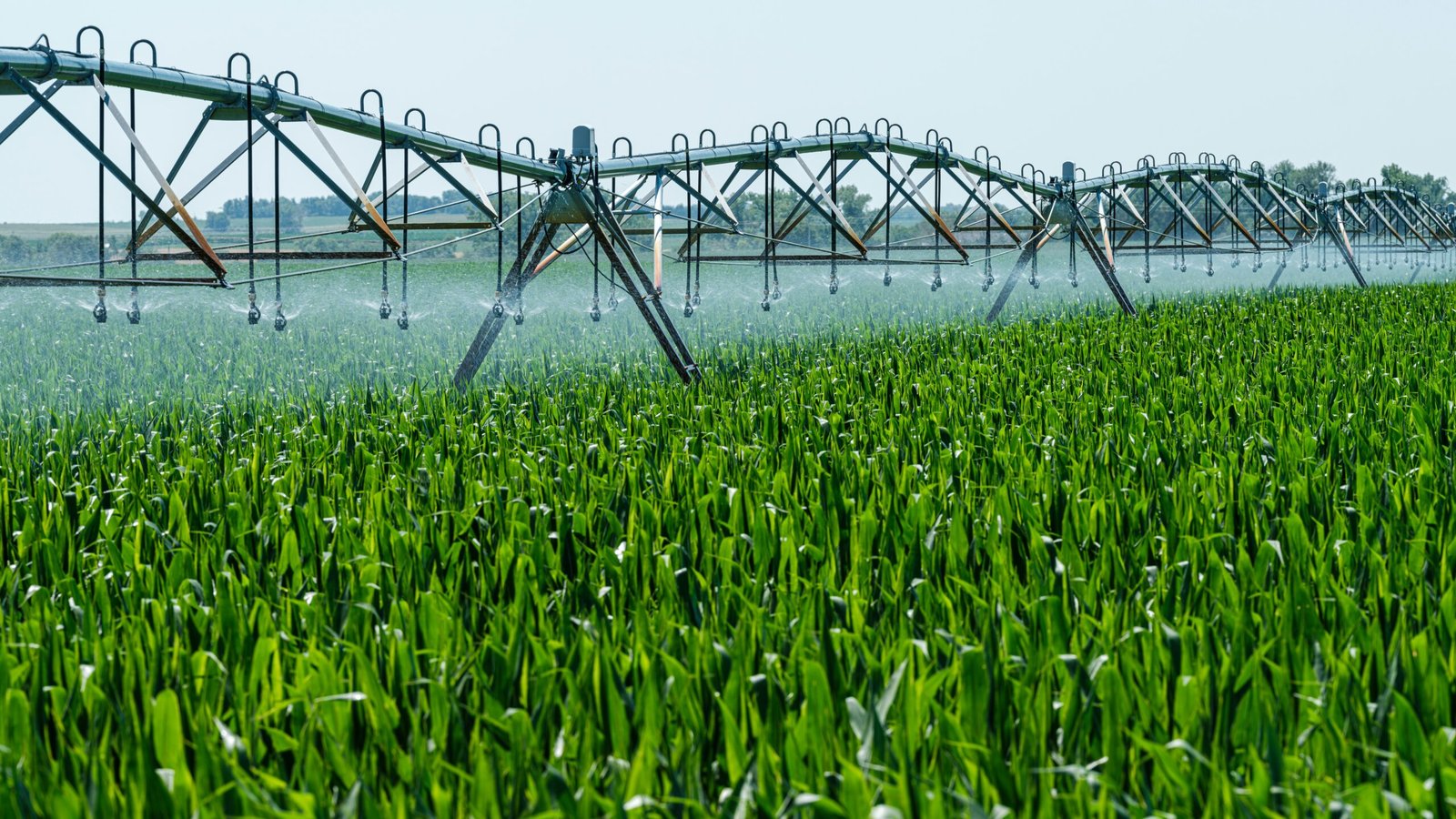 Smart Irrigation 2026 Guide To Water Management In Farming